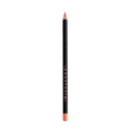 Lip Liner - Sunbaked
