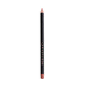 Lip Liner - Raisin